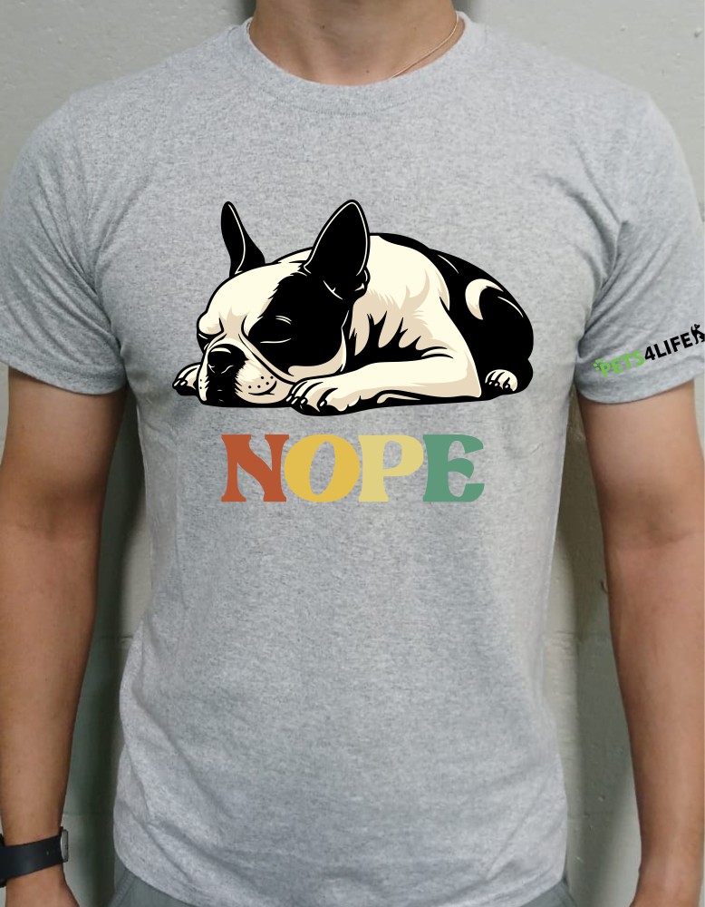 bostonterrierNope_grey