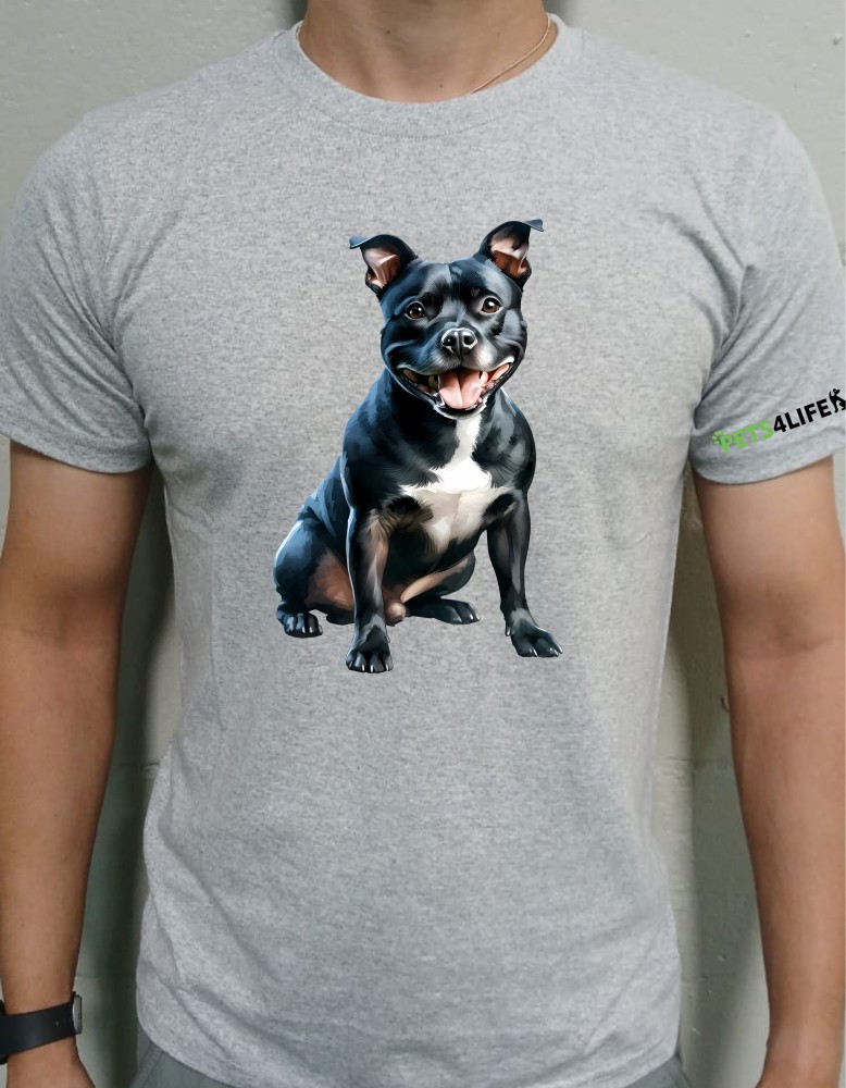 staffie_blacksitting_grey